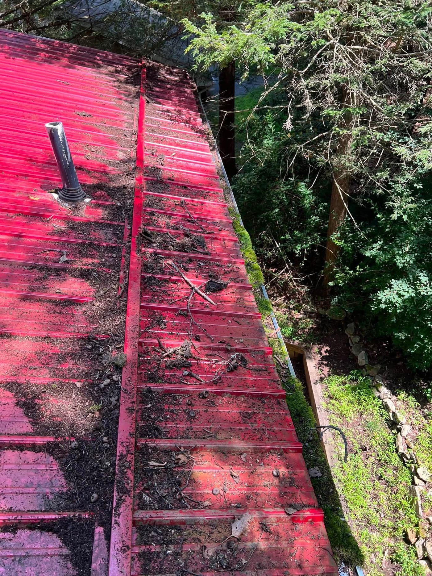 Metal roof and gutter covered in leaves, twigs, and debris before cleaning