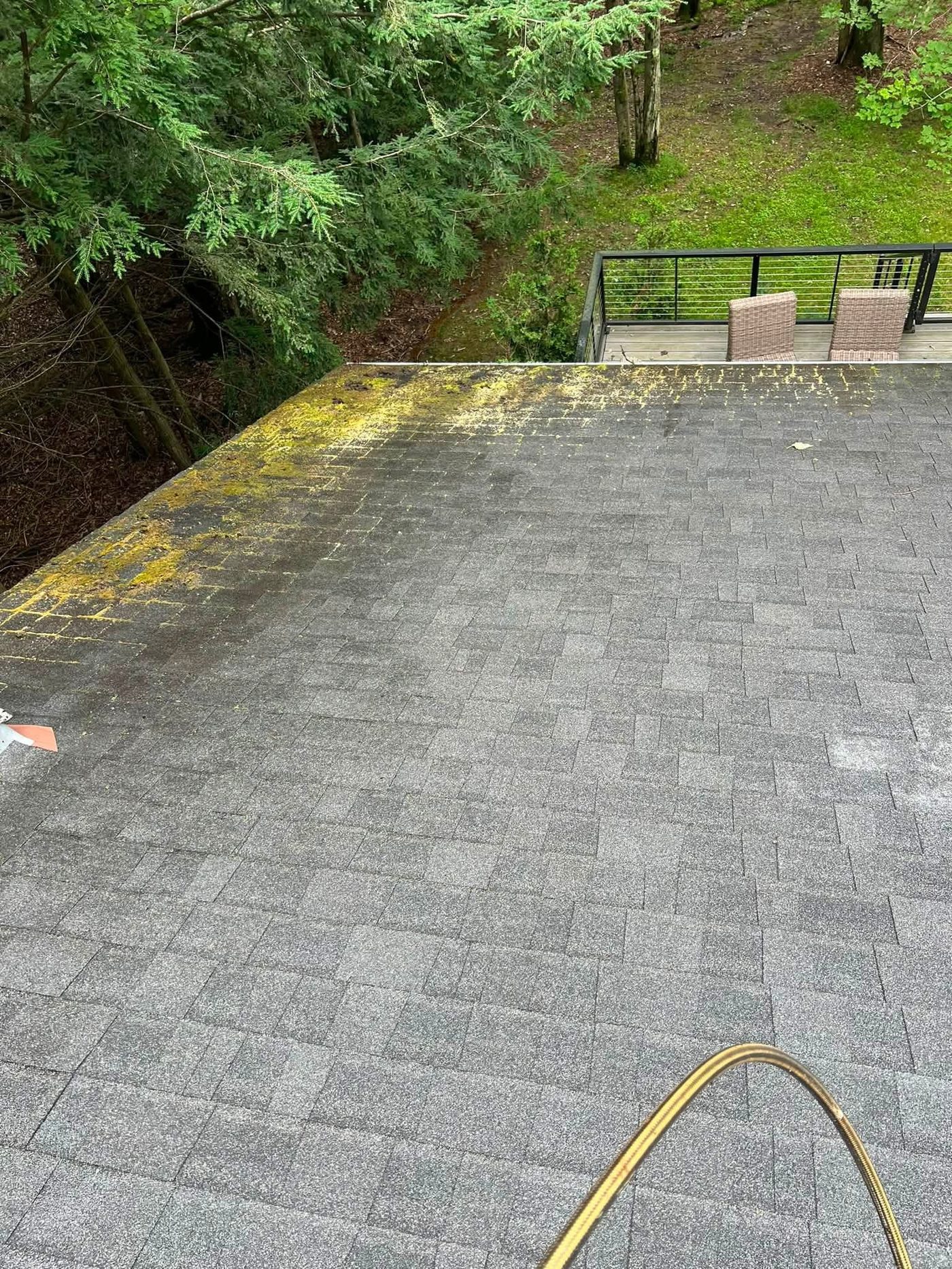 Roof cleaning in progress on an asphalt shingle roof with cleaning brush visible