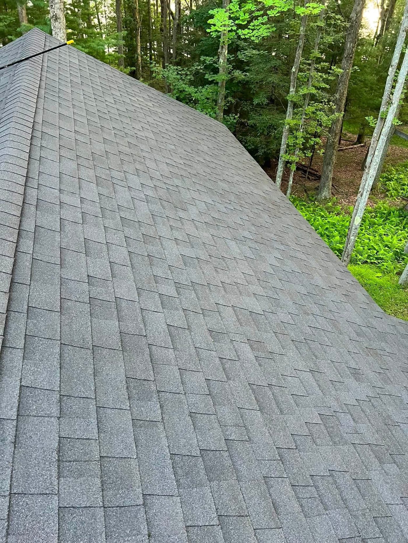 Same style asphalt shingle roof fully cleaned with no algae or moss remaining